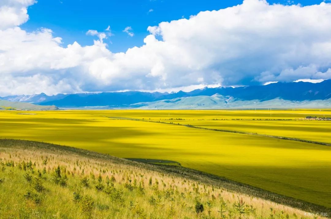 青海高原秘境，壮美之旅的探险之旅