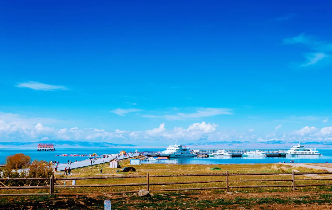 高原牧歌,青海马头琴下的深情吟唱